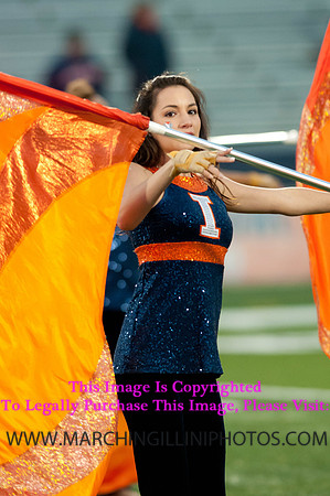 Northwestern Wildcats at Illinois Fighting Illini, Saturday, November 30, 2013 - Marching Illini Photos