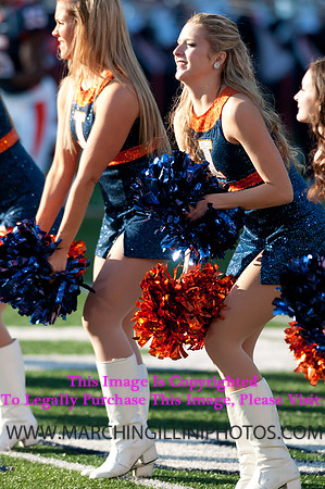 Northwestern Wildcats at Illinois Fighting Illini, Saturday, November 30, 2013 - Marching Illini Photos