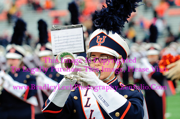 Penn State Nittany Lions at Illinois Fighting Illini, Saturday, November 22, 2014 - Marching Illini Photos