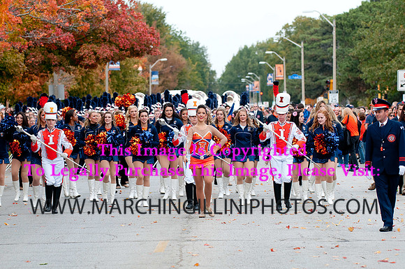 Michigan State Spartans at Illinois Fighting Illini, Saturday, October 26, 2013 - Marching Illini Photos