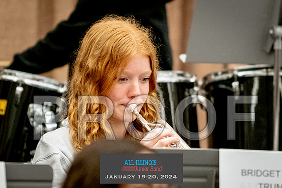 2024 All-Illinois Junior BandJanuary 19-20, 2024