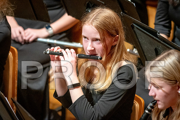 2024 All-Illinois Junior BandJanuary 19-20, 2024