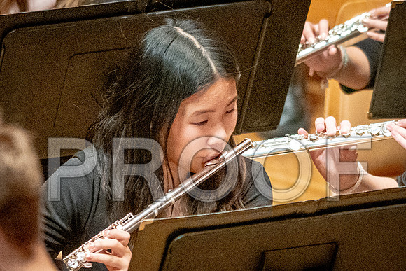 2024 All-Illinois Junior BandJanuary 19-20, 2024