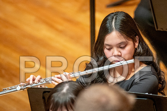 2024 All-Illinois Junior BandJanuary 19-20, 2024