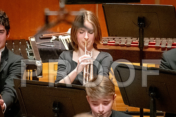 2024 All-Illinois Junior BandJanuary 19-20, 2024
