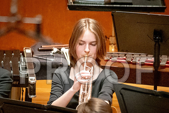 2024 All-Illinois Junior BandJanuary 19-20, 2024