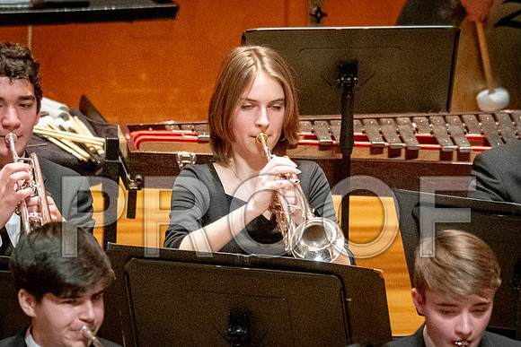 2024 All-Illinois Junior BandJanuary 19-20, 2024