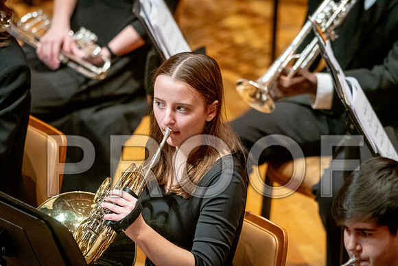 2024 All-Illinois Junior BandJanuary 19-20, 2024