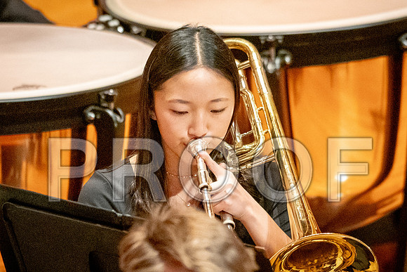 2024 All-Illinois Junior BandJanuary 19-20, 2024