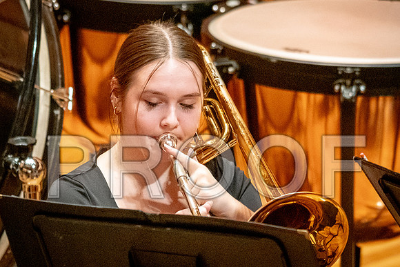 2024 All-Illinois Junior BandJanuary 19-20, 2024