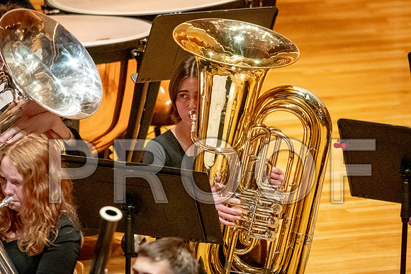 2024 All-Illinois Junior BandJanuary 19-20, 2024