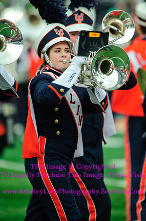 Penn State Nittany Lions at Illinois Fighting Illini, Saturday, November 22, 2014 - Marching Illini Photos