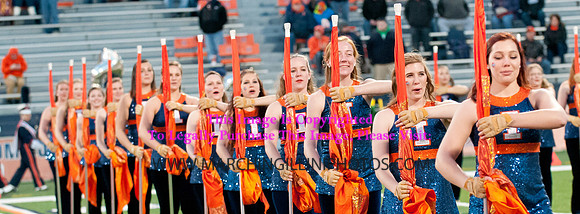 Northwestern Wildcats at Illinois Fighting Illini, Saturday, November 30, 2013 - Marching Illini Photos