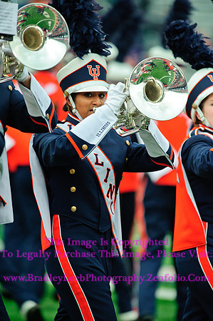 Penn State Nittany Lions at Illinois Fighting Illini, Saturday, November 22, 2014 - Marching Illini Photos