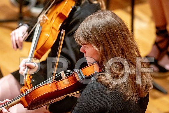2024 University of Illinois High School Orchestra ClinicFebruary 24, 2024