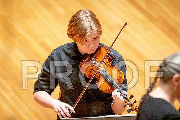 2024 University of Illinois High School Orchestra ClinicFebruary 24, 2024