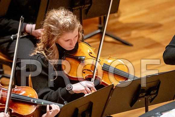 2024 University of Illinois High School Orchestra ClinicFebruary 24, 2024