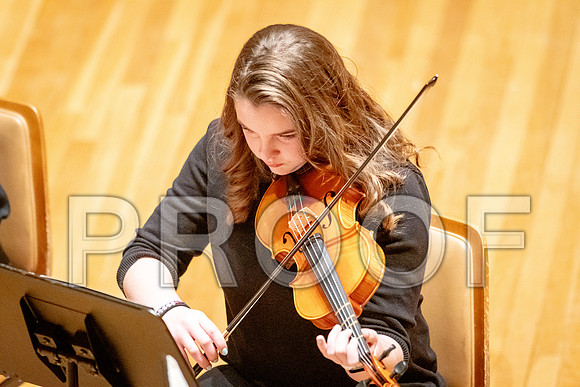 2024 University of Illinois High School Orchestra ClinicFebruary 24, 2024