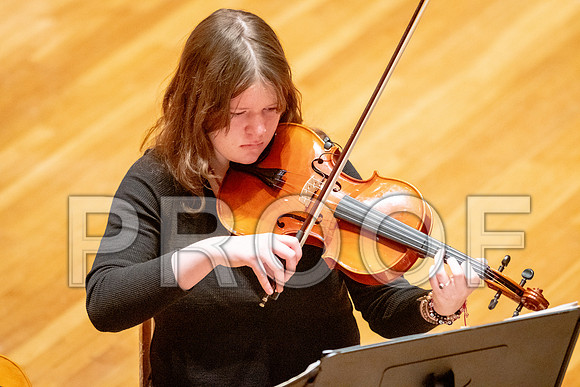 2024 University of Illinois High School Orchestra ClinicFebruary 24, 2024