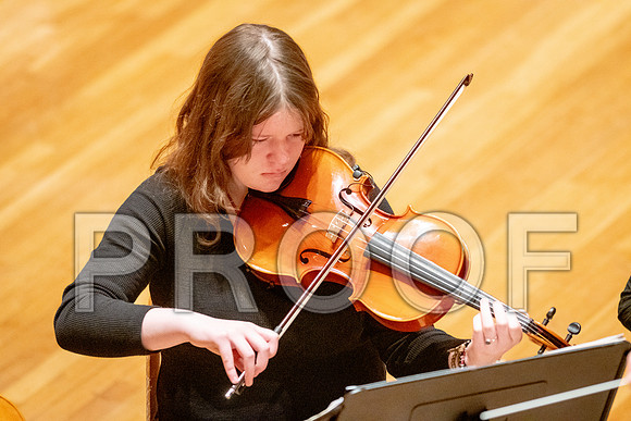 2024 University of Illinois High School Orchestra ClinicFebruary 24, 2024
