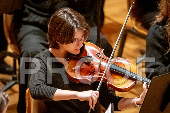 2024 University of Illinois High School Orchestra ClinicFebruary 24, 2024