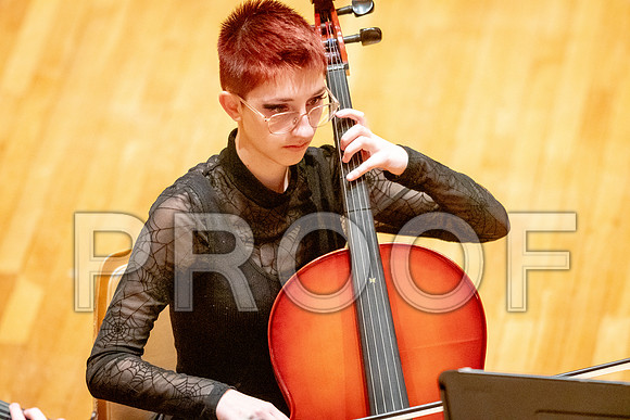 2024 University of Illinois High School Orchestra ClinicFebruary 24, 2024