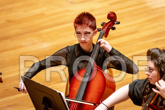 2024 University of Illinois High School Orchestra ClinicFebruary 24, 2024
