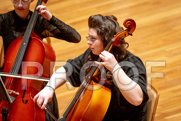 2024 University of Illinois High School Orchestra ClinicFebruary 24, 2024