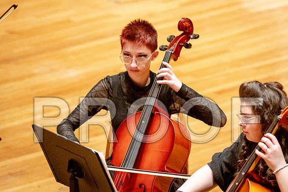 2024 University of Illinois High School Orchestra ClinicFebruary 24, 2024