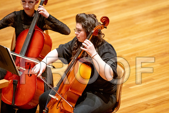 2024 University of Illinois High School Orchestra ClinicFebruary 24, 2024