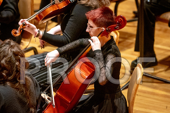 2024 University of Illinois High School Orchestra ClinicFebruary 24, 2024