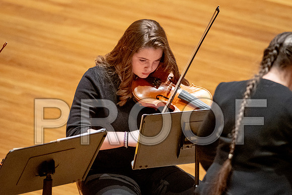 2024 University of Illinois High School Orchestra ClinicFebruary 24, 2024