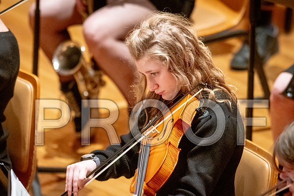 2024 University of Illinois High School Orchestra ClinicFebruary 24, 2024