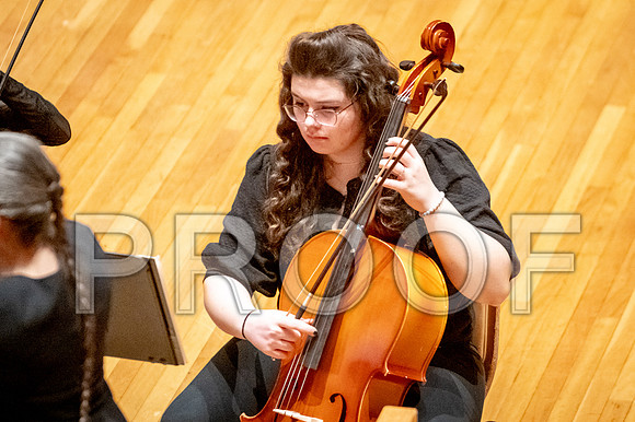 2024 University of Illinois High School Orchestra ClinicFebruary 24, 2024