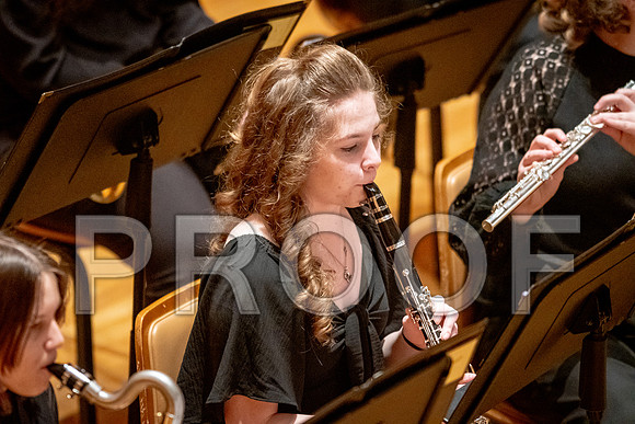 2024 University of Illinois High School Orchestra ClinicFebruary 24, 2024