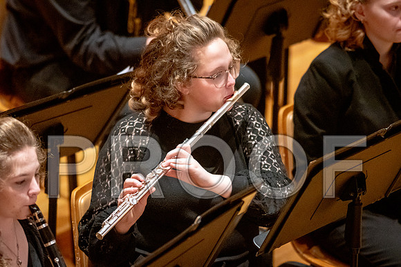 2024 University of Illinois High School Orchestra ClinicFebruary 24, 2024