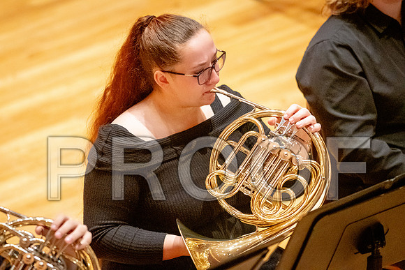 2024 University of Illinois High School Orchestra ClinicFebruary 24, 2024
