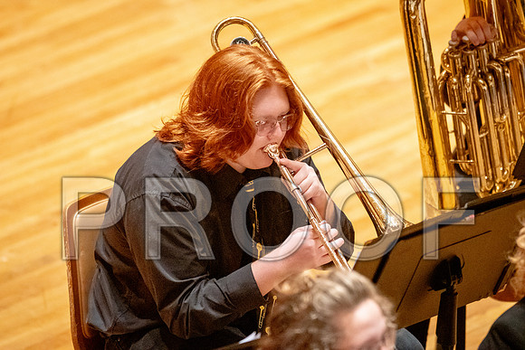 2024 University of Illinois High School Orchestra ClinicFebruary 24, 2024