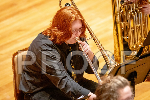 2024 University of Illinois High School Orchestra ClinicFebruary 24, 2024