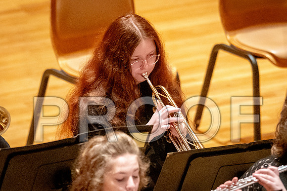 2024 University of Illinois High School Orchestra ClinicFebruary 24, 2024