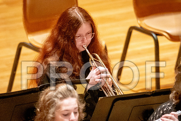 2024 University of Illinois High School Orchestra ClinicFebruary 24, 2024