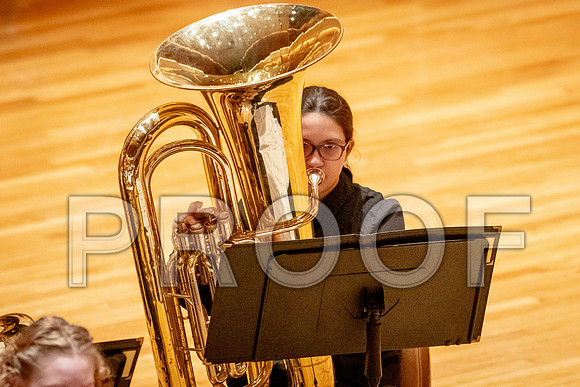 2024 University of Illinois High School Orchestra ClinicFebruary 24, 2024