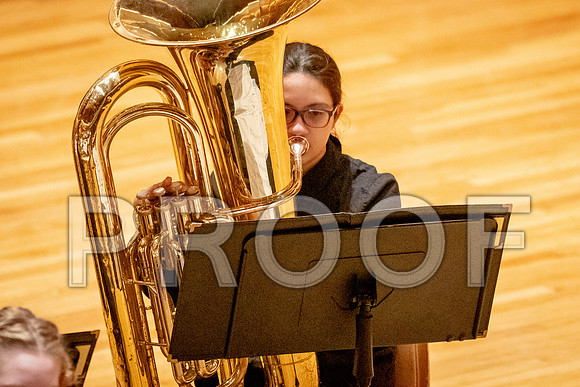 2024 University of Illinois High School Orchestra ClinicFebruary 24, 2024