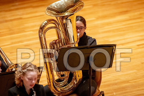 2024 University of Illinois High School Orchestra ClinicFebruary 24, 2024