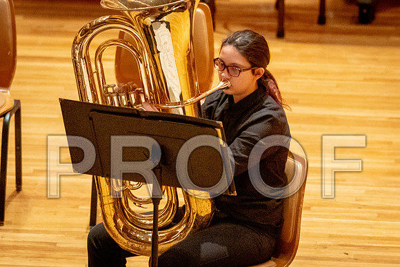 2024 University of Illinois High School Orchestra ClinicFebruary 24, 2024