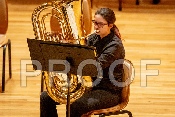2024 University of Illinois High School Orchestra ClinicFebruary 24, 2024