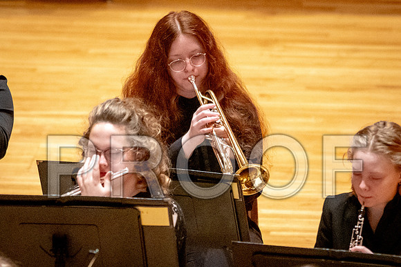 2024 University of Illinois High School Orchestra ClinicFebruary 24, 2024
