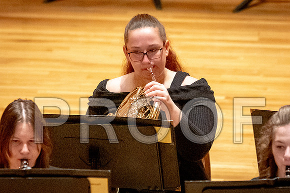 2024 University of Illinois High School Orchestra ClinicFebruary 24, 2024