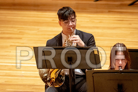 2024 University of Illinois High School Orchestra ClinicFebruary 24, 2024