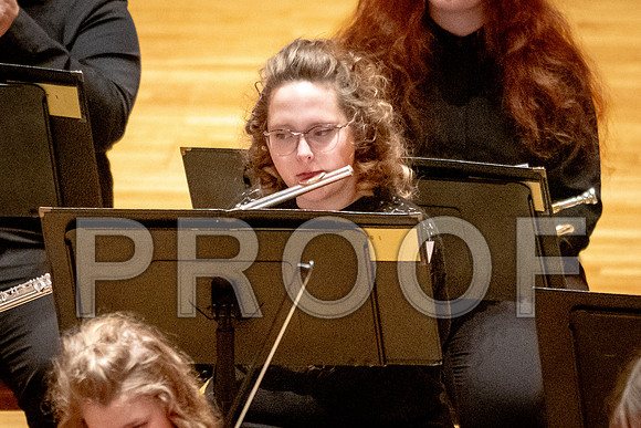 2024 University of Illinois High School Orchestra ClinicFebruary 24, 2024
